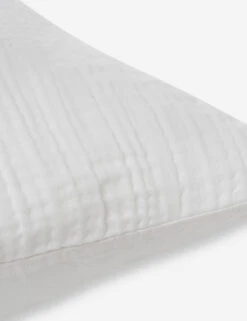 Darcy Sham -MIUBOW Furniture Shop 103 V250172 3 900x c2dc3a83 0488 4d19 b802 be787c8379f4