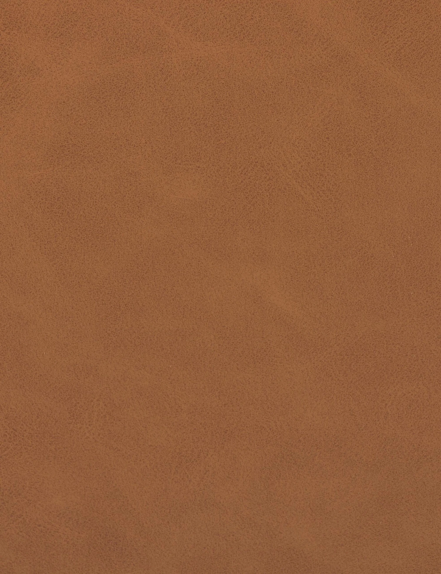 Marla Dining Chair 11 Marla Dining Chair - Image 11