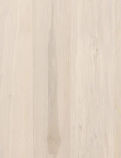 Rosamonde Desk -MIUBOW Furniture Shop 107317 004 DET 2