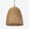 Coastal Living Beehive Outdoor Pendant Light By Regina Andrew