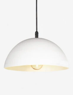 Peridot Outdoor Pendant Light By Regina Andrew -MIUBOW Furniture Shop 17 1003WT