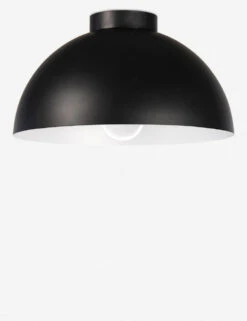 Peridot Outdoor Flush Mount Light By Regina Andrew -MIUBOW Furniture Shop 17 1025BLK