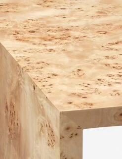 Raisa Burl Wood Nesting Side Tables (Set Of 2) 5 Raisa Burl Wood Nesting Side Tables (Set Of 2) -MIUBOW Furniture Shop 20BEDF NENA 1