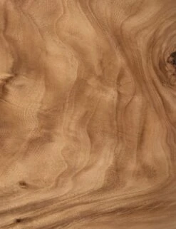 Emmanuel Desk -MIUBOW Furniture Shop 224198 001 det 2 4f8d83eb 44f3 4c49 85ef 201b495cb754