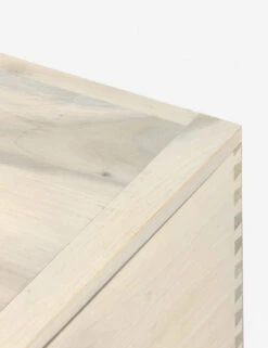 Rosamonde Storage Bench -MIUBOW Furniture Shop 224491 003 DET 7