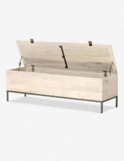 Rosamonde Storage Bench -MIUBOW Furniture Shop 224491 003 OPN 1