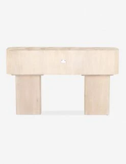 Sunako Console Table 15 Sunako Console Table -MIUBOW Furniture Shop 224841 001 bck 1