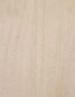 Sunako Console Table 14 Sunako Console Table -MIUBOW Furniture Shop 224841 001 det 2