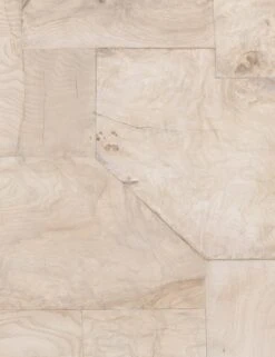 Sunako Console Table 13 Sunako Console Table -MIUBOW Furniture Shop 224841 001 det 3