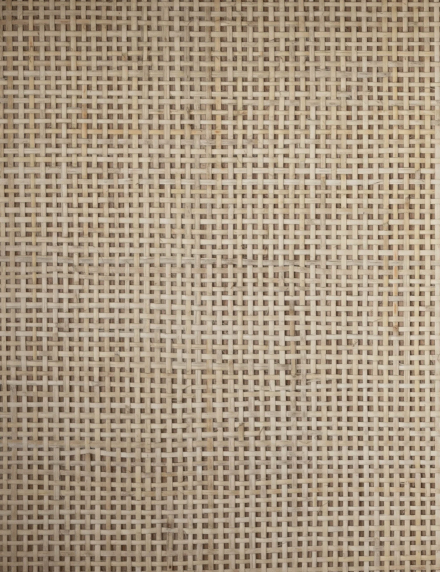 Melissa Bookcase 6 Melissa Bookcase - Image 6