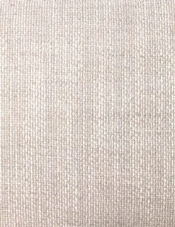 Tanya Accent Chair -MIUBOW Furniture Shop 225353 004 DET 2