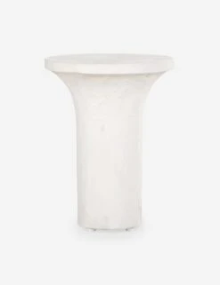 Ramos Tall Round Side Table -MIUBOW Furniture Shop 226317 001 PRM 1 1