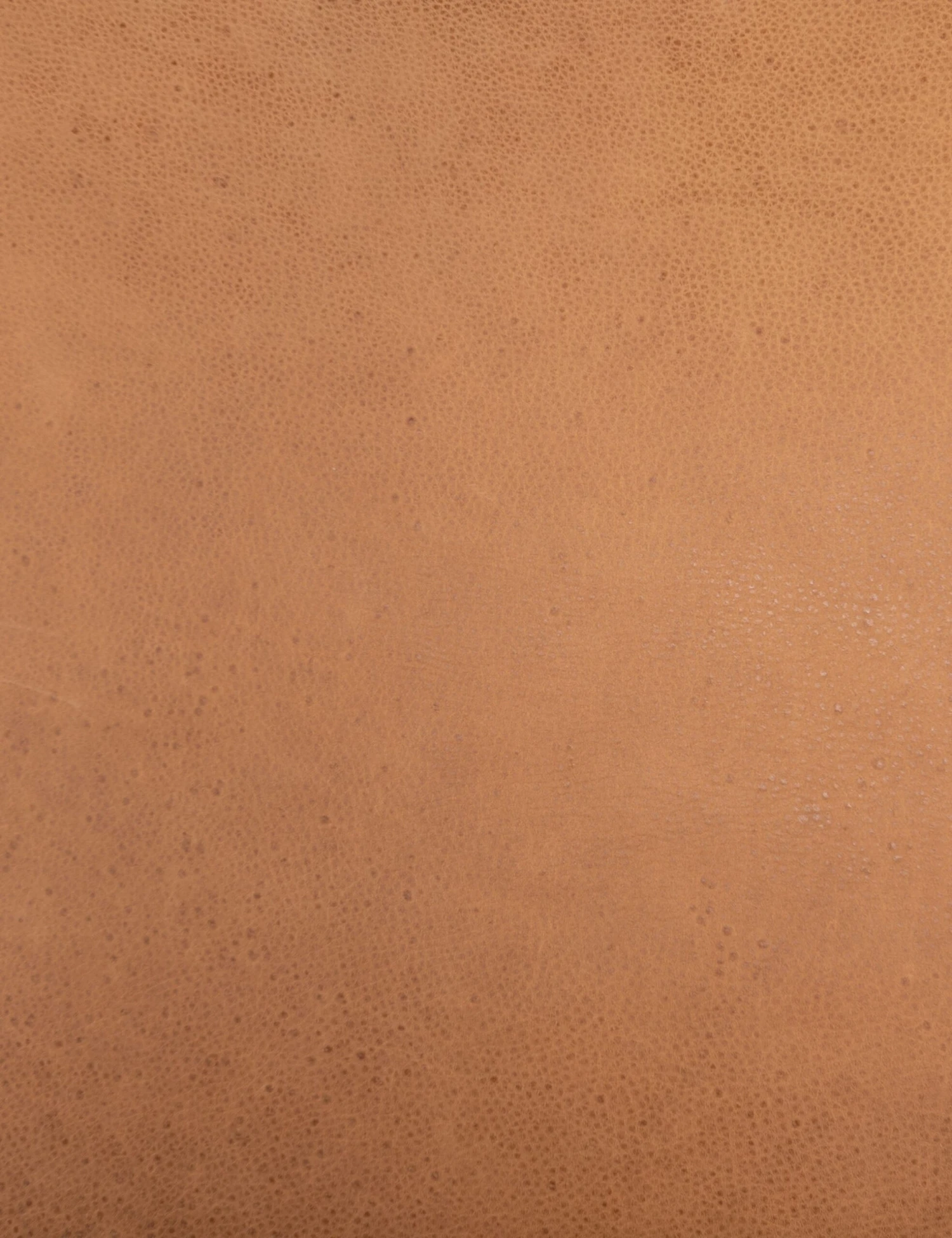 Mathieu Dining Chair 7 Mathieu Dining Chair - Image 7