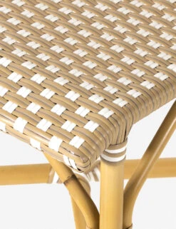 Monet Indoor / Outdoor Dining Chair -MIUBOW Furniture Shop 226843 001 DET 3