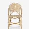 Monet Indoor / Outdoor Dining Chair