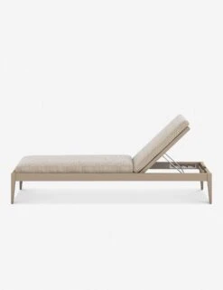 Cadenza Indoor / Outdoor Chaise -MIUBOW Furniture Shop 226912 006 SID 1
