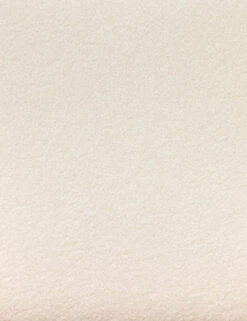 Krane Dining Arm Chair -MIUBOW Furniture Shop 227405 003 DET 8