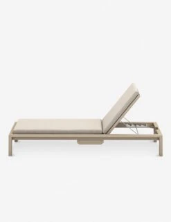 Ashleigh Indoor / Outdoor Chaise -MIUBOW Furniture Shop 227525 004 SID 1