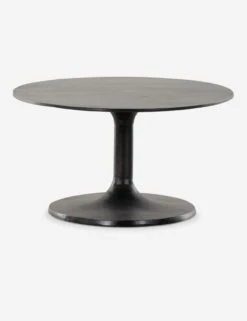 Inga Indoor / Outdoor Oval Coffee Table -MIUBOW Furniture Shop 227822 005 SID 1 SITECROP