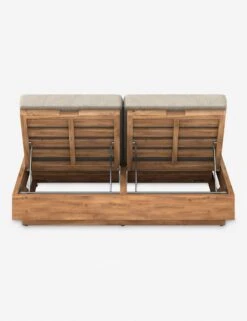 Minnette Indoor / Outdoor Double Chaise -MIUBOW Furniture Shop 227877 004 BCK 1