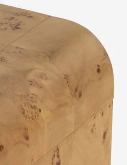 Martine Side Table 10 Martine Side Table -MIUBOW Furniture Shop 228910 002 DET 5