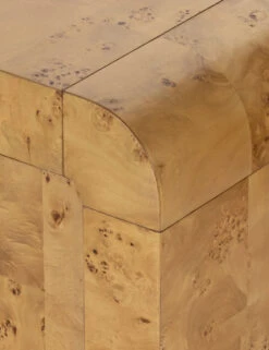 Martine Media Console 14 Martine Media Console -MIUBOW Furniture Shop 228921 002 DET 5