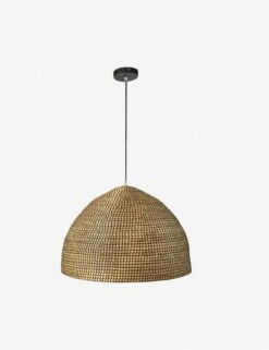 Raiatea Pendant Light -MIUBOW Furniture Shop 229314 001 FRT 1