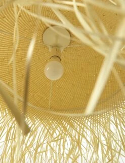 Clarissa Pendant Light -MIUBOW Furniture Shop 229316 001 DET 2