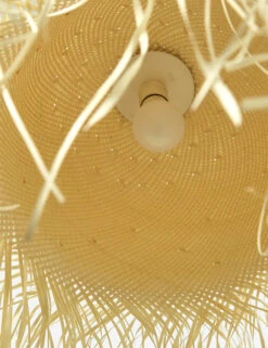 Clarissa Pendant Light -MIUBOW Furniture Shop 229317 001 DET 2