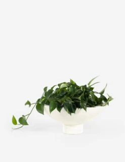 Elysia Indoor / Outdoor Planter Pot (Set Of 2) -MIUBOW Furniture Shop 229457 001 DET 5