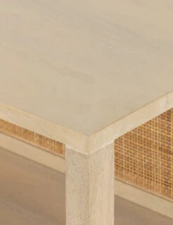 Philene Media Console -MIUBOW Furniture Shop 229664 002 DET 3