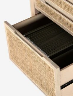 Margot Modular Desk With Filing Cabinet -MIUBOW Furniture Shop 230207 001 det 1