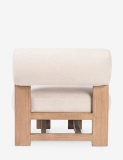 Nellie Accent Chair -MIUBOW Furniture Shop 231359 001 BCK 1