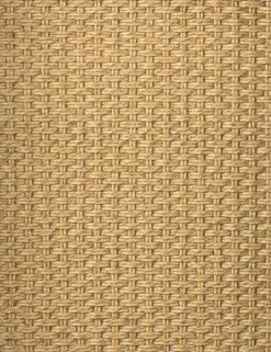 Wilkins Indoor / Outdoor Accent Chair -MIUBOW Furniture Shop 231931 001 DET 2