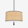 Torres Pendant Light