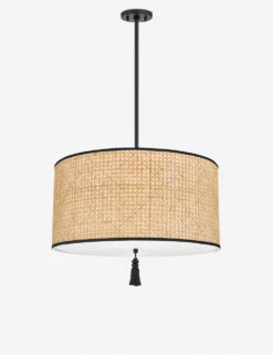 Torres Pendant Light