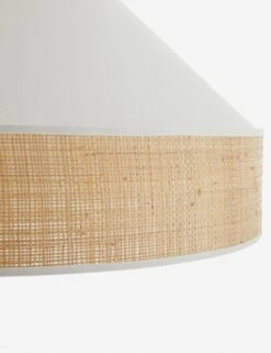 Malena Pendant Light By Arteriors 7 Malena Pendant Light By Arteriors -MIUBOW Furniture Shop 41066.d6