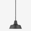 Fisher Outdoor Pendant Light
