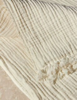 Alaia Sherpa Throw By House No. 23 -MIUBOW Furniture Shop AlaiaSherpa Coconut 13873 SITECROP