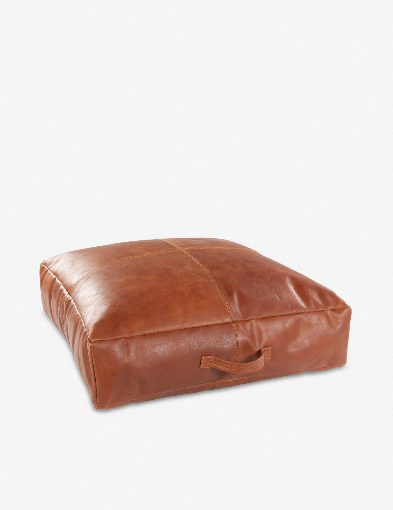 Carlson Leather Floor Pillow 1 Carlson Leather Floor Pillow