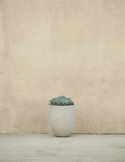 Bradford Planters By Campania International -MIUBOW Furniture Shop BradfordPlanter ExtraSmall IvorybyCampaniaInternational 1704 9ed89386 9b40 405c 9770 a419a0b9434b