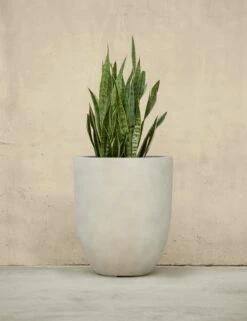 Bradford Planters By Campania International -MIUBOW Furniture Shop BradfordPlanter Medium IvorybyCampaniaInternational 1697 9709ef57 120f 4e64 a282 e3d92351ec04