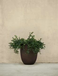 Bradford Planters By Campania International -MIUBOW Furniture Shop BradfordPlanter Small RustbyCampaniaInternational 1721 c335b710 ec96 4003 aebe 5c9be3359511