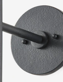 Cedar Sconce By Colin King X Troy Lighting -MIUBOW Furniture Shop CEDARB1726 FOR 002