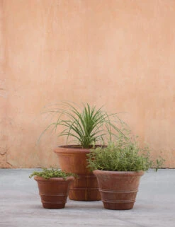 Classic Rolled Rim Planters By Campania International
