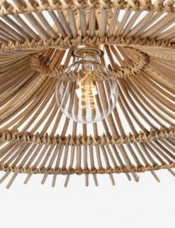 Mareta Pendant -MIUBOW Furniture Shop CostaMesa F8850 VGL 003