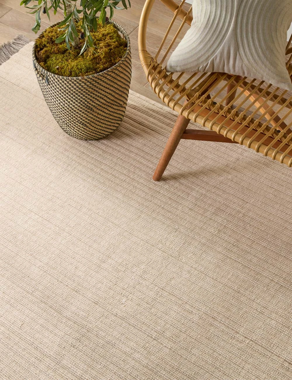 Drew Indoor / Outdoor Rug 2 Drew Indoor / Outdoor Rug - Image 2