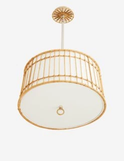 Sea Island Pendant Light By Arteriors -MIUBOW Furniture Shop DW49001.d4