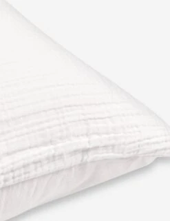 Darcy Sham -MIUBOW Furniture Shop DarcySham2 ef35bb42 d492 4121 9bfb f0e6be8ba96e