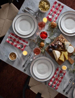 Gingham Napkins (Set Of 4) By Heather Taylor Home -MIUBOW Furniture Shop DiningOverhead2 15647 3 Swatch SITECROP